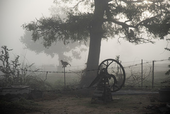 туманное утро / туманное утро в Индии