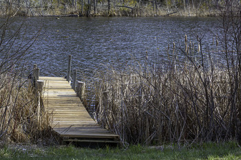 &nbsp; / This small dock between the reeds gets you out to the water