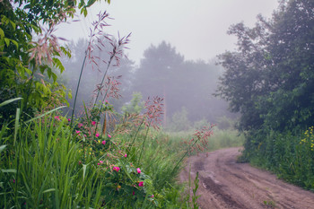 Там за туманами.... / Утренний туман придал загадочности и неповторимости обычному сельскому пейзажу