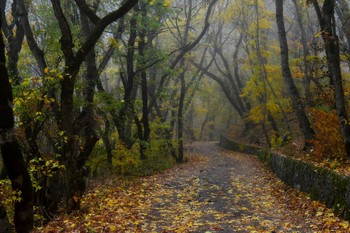 Дороги осенние......... / Железноводск. Октябрь