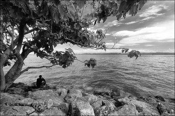 Ностальгия / ***