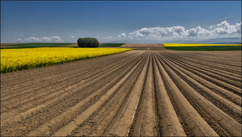 Landwirtschaft / Felder