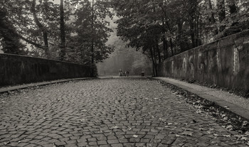 &nbsp; / В парке