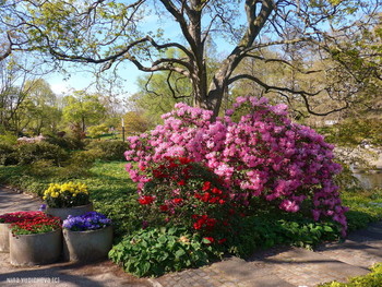 Planten un Blomen Hamburg / Весна 2020
&quot;Парки&quot;: http://fotokto.ru/id156888/photo?album=75053# «Пейзаж»: http://fotokto.ru/id156888/photo?album=76852
этюды»: http://fotokto.ru/id156888/photo?album=66289 «Цветы»: http://fotokto.ru/id156888/photo?album=63914
Слайд-шоу &quot;Парк цветов летом&quot;

https://www.youtube.com/watch?v=glVWjqRqZr0

Слайд-шоу &quot;Парк цветов весной&quot;

https://www.youtube.com/watch?v=kJVKlWcQxCg

Слайд-шоу &quot;Парк цветов осенью&quot;

https://www.youtube.com/watch?v=_Q7gRXGUa5A

Слайд-шоу &quot;Розы&quot;

https://www.youtube.com/watch?v=2jSTxDgGqsI

Слайд-шоу &quot;Цветы&quot;

https://www.youtube.com/watch?v=JYadETNgWMY