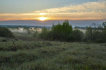 Весна / рассвет,трава,туман