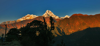 АНАПУРНА 8091м. В ЛУЧАХ ЗАКАТА / Непал. Гимолаи.