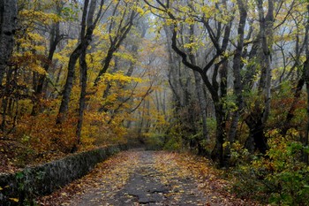 В парке осеннем........... / Железноводск. Октябрь