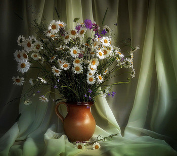 Букет полевых / 2015