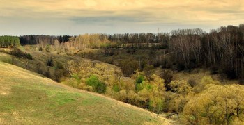 Природа оживает / Природа оживает