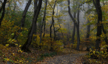 В парке осеннем........... / Железноводск. Октябрь