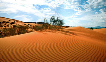 АЛТЫН - ЭМЕЛЬ / Национальный Заповедник Алтын- Эмель