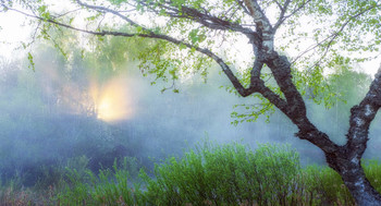 Феерия солнца / Майские рассветы