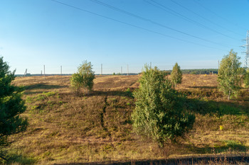 Тропинка в поле / Осеннее солнечное утро,деревья,луг и голубое небо