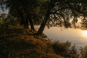 &nbsp; / озеро,рассвет,туман