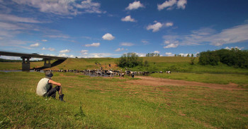 Деревенский пастушок. / Водопой на речке под Ярославлем.