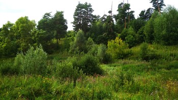 лето / нижегородская