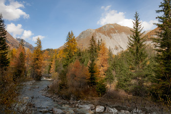 Золотая осень / ...