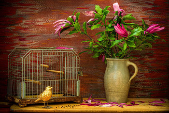 &nbsp; / Der güldene Vogel