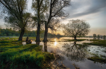 Весна.Подсыхает... / ***