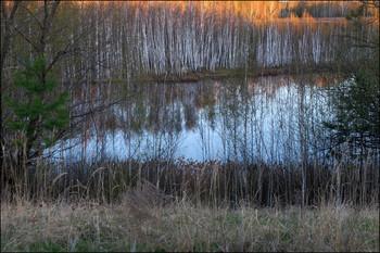 продираться / ***