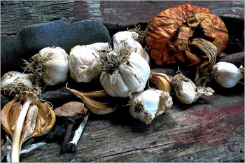 &nbsp; / Натюрморт