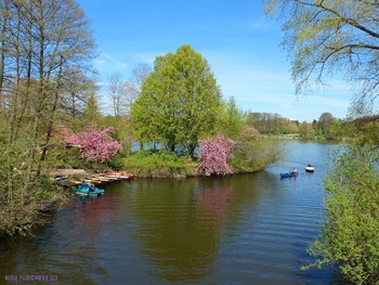 Stadtpark Hamburg / Городской парк Гамбурга - чудесное место отдыха с великолепными цветущими деревьями, тенистыми аллеями и солнечными полянками, лодочной станцией, где можно арендовать лодку и совершить прогулку по озеру, увидеть прекрасные скульптуры, полюбоваться лебедями и другими обитателями парка, насладиться общением с природой и красотой. https://www.youtube.com/watch?v=FKUA4kQdSRU

Слайд-шоу &quot;Парк цветов летом&quot;

https://www.youtube.com/watch?v=glVWjqRqZr0

Слайд-шоу &quot;Парк цветов весной&quot;

https://www.youtube.com/watch?v=kJVKlWcQxCg

Слайд-шоу &quot;Парк цветов осенью&quot;

https://www.youtube.com/watch?v=_Q7gRXGUa5A

Слайд-шоу &quot;Розы&quot;

https://www.youtube.com/watch?v=2jSTxDgGqsI

Слайд-шоу &quot;Цветы&quot;

https://www.youtube.com/watch?v=JYadETNgWMY