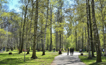 этот чудный апрель... / весна 2014 г., Москва, Ботанический сад