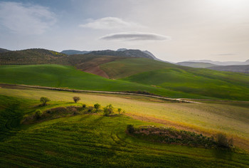 Безмятежность / Безмятежность, 2020