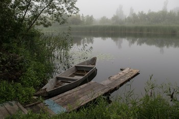 Туманное утро.. / ***