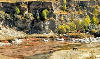 На водопое / В горах Кавказа кони на водопое