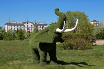 Зелёнй слон парк посетил / Парковые достопримечательности.