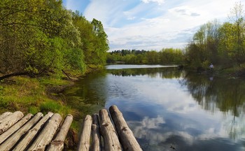 Тепло дня и аромат молодой листвы после дождя / Прекрасный месяц май