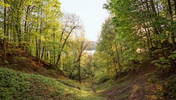 Май / Май. Спуск к Оке.