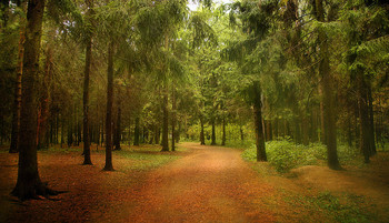 В парке... / по дорожке