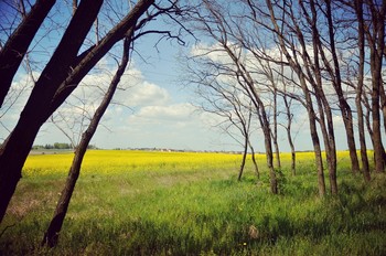 &nbsp; / Погожий день