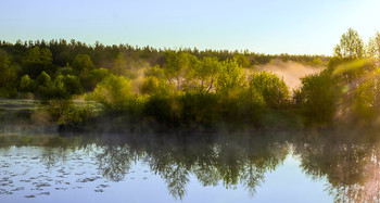 На рассвете туман. / Майское весеннее утро на озере Сосновое.