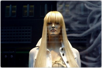  / natural reflections on shopwindow