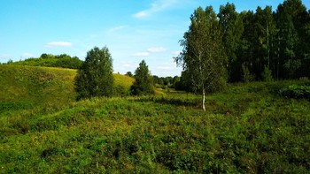 где то во владимирской... / зелень природа лето