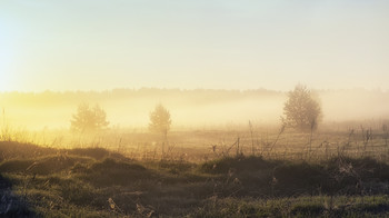 Позолоченный рассвет / Весенние туманы
