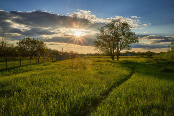 По сельским окраинам... / Весна 2020.