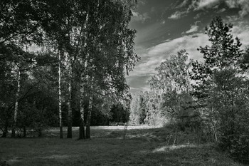 Солнечная полянка. / Томская область.