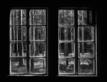 Окно в лес / В заброшенном лагере