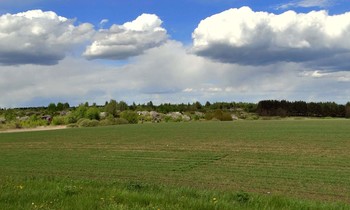 Майские пейзажи / Низкая облачность, скоро соберётся дождь