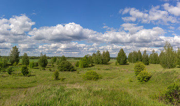 Майские зарисовки / ***