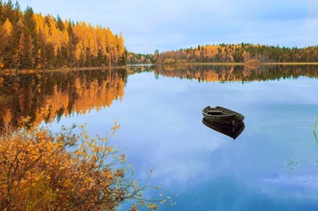 Последние осенние дни / Конец октября в северной Карелии