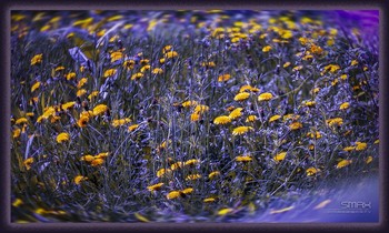 майская / !!!!!!!!!!!!!!!!!!!!!!!!!!!!!!!!!!