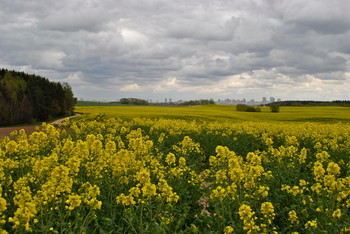 &nbsp; / Город и деревня