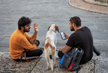 ragazzi con cani / Italia, Perugia, foto di strada