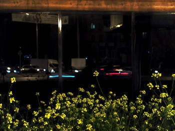 Вечер / 2015-09-27-212-C0-076(80)+С


[img]https://i.imgur.com/mJF5IS3.jpg[/img]