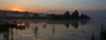 На рассвете. / Летнее утро на озере Сосновое. Юго-восток Московской области.